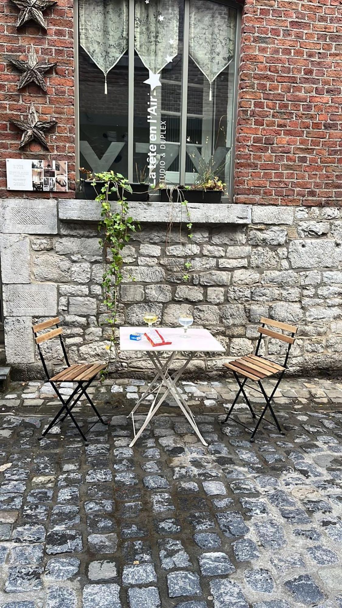 Studio Et Appartement La Tete En L'Air デュルビュイ エクステリア 写真